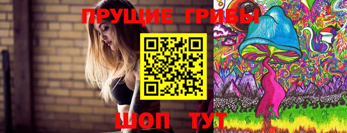 Галлюциногенные грибы Psilocybe Ялуторовск